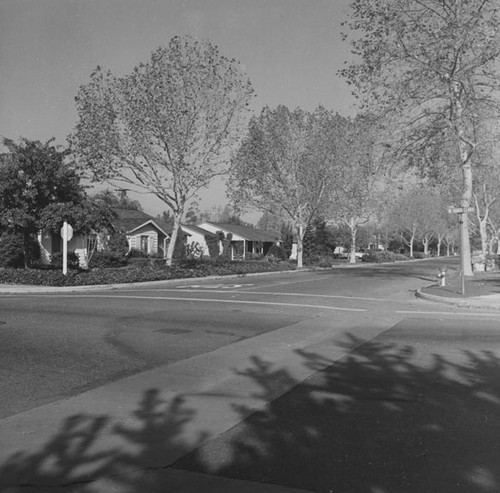 Looking up a residential street from the corner of W. Santa Clara Street