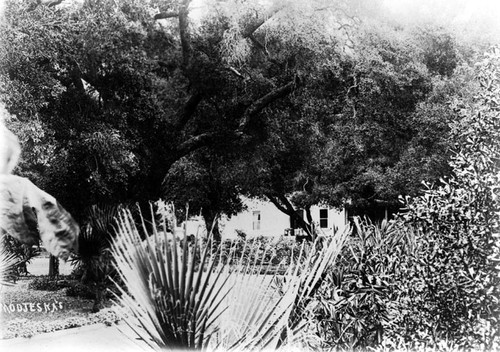 "Forest of Arden", Modjeska's home at Santiago Canyon in the 1890s