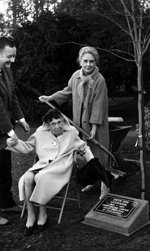 Planting a crape myrtle tree at the Bowers Museum on December 17, 1970 by the marker for Emma Sanson Chapter, United Daughters of the Confederacy for Santa Ana Centenary in 1969