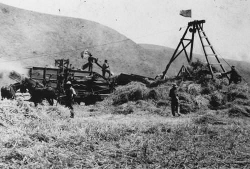 Threshing in the field