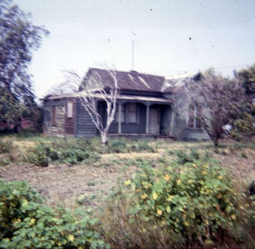 Another view of the Martin home on Newhope Street near Warner Avenue