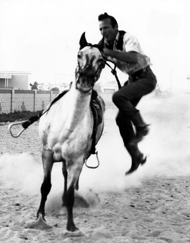 Pony Express at the Birthday Celebration Centennial in 1969