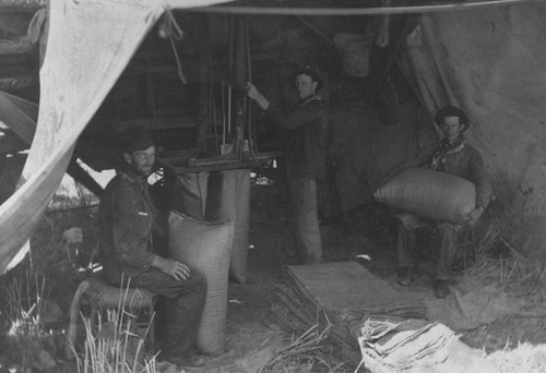 Farm workers in a shelter bagging harvest