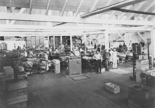 Interior of Central Lemon Association Building on Wanda and Villa Park Road