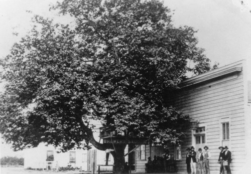 Old Sycamore Hall, Santa Ana's amusement center in the 1880's