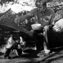 Hugh Gorman with Chickens