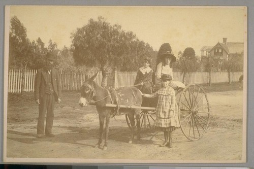 Donkey Cart, Santa Barbara, California, April 21st, 1884