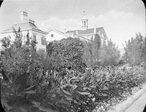 Jesuit Residence Before 1909 Fire