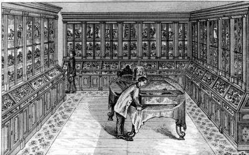 Philosophical [Scientific] Cabinet, The Museum Plate 8