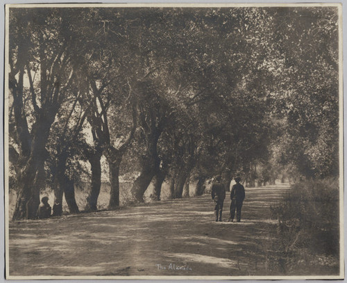 Boys on the Alameda, ca. 1900