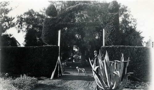 Carriage entrance into the Nimock's garden with stag statue in distance