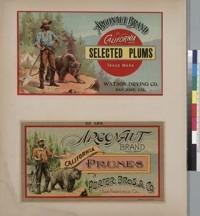 Album page with an Argonaut Brand California Selected Plums label and an Argonaut Brand California Prunes label