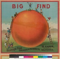 Big Find, Bostonia Fruit Growers and Packers Company, El Cajon