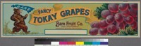 Fancy Tokay Grapes, Bare Fruit Company, Lodi