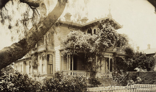 Climbing up the house