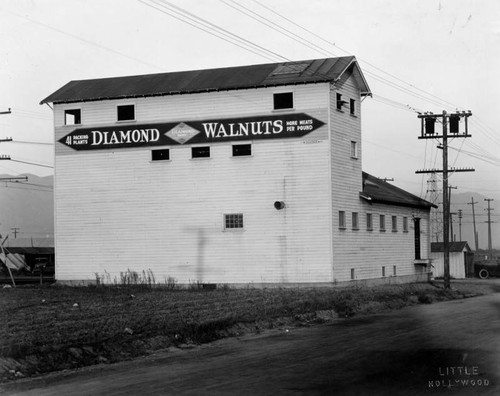 Diamond Walnuts packing plant