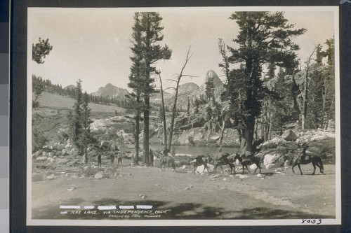 Robinson Pack Train at Rae Lake, via Independence, Calif