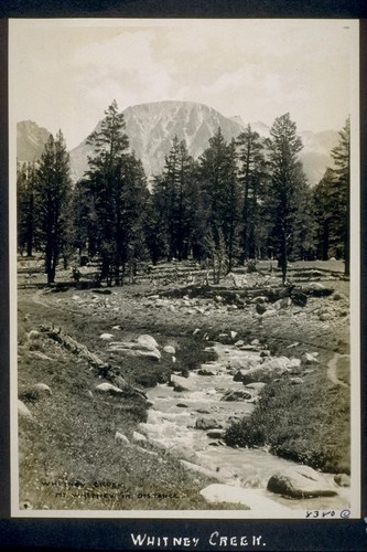 Whitney Creek. Mt. Whitney in Distance