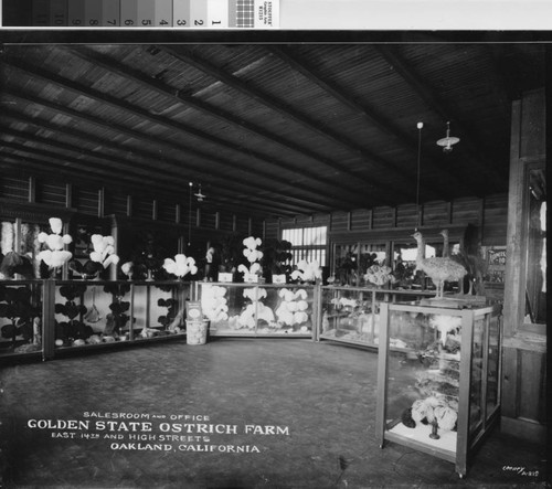 Salesroom and office [picture] : Golden State Ostrich Farm, East 14th and High streets, Oakland, California