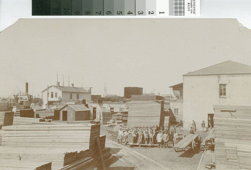 Oakland Lumber Co., 1894, 417 First St., Oakland : [picture]