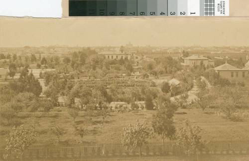 Nursery and residence of W. F. Kelsey, Oakland, California [picture]