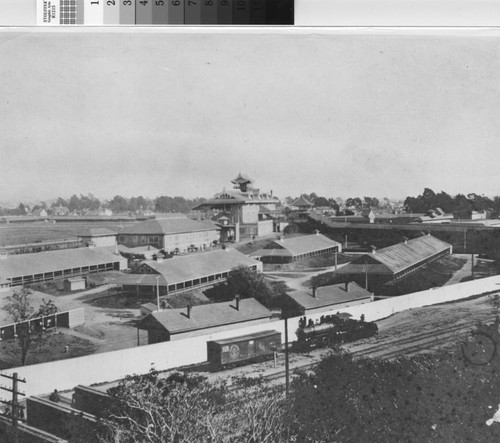 California Trotting Park, Emeryville [picture] : view from the Southern Pacific Railroad Tracks showing Steam Locomotive, circa 1905-1907