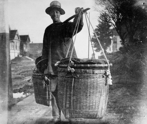 Chinese vegetable peddler c.1890 [picture] / Moses Chase album