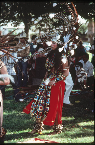 Day of the Dead '79