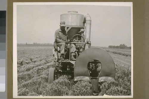 Seed picking device. Knocks the seed off and collects it in receptacle in the rear by vacuum. (Seed is collected from two rows)