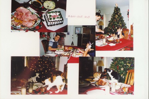 Cats and Christmas Dinner