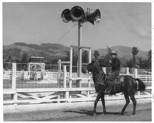 Horse and Rider at Ventura County Fair