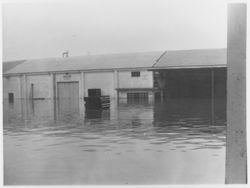 Flood waters surrounding the Barlow Company on McKinley Street, Sebastopol