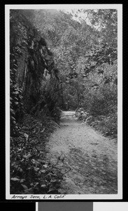 Scene in Arroyo Seco, Pasadena, about one and one-half miles north of Jet Propulsion Laboratory, showing a trail, ca.1920
