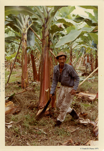 Banana Import Company, Guayaquil, Ecuador, Pierce Photo 13, © 1971 Frank D. Pierce