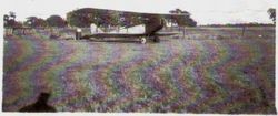 Biplane sitting in Cnopius Field, Sebastopol, California, 1920s