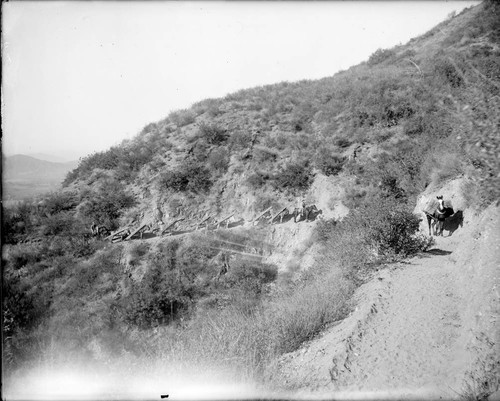 Pack train of horses carrying lumber, Mount Wilson
