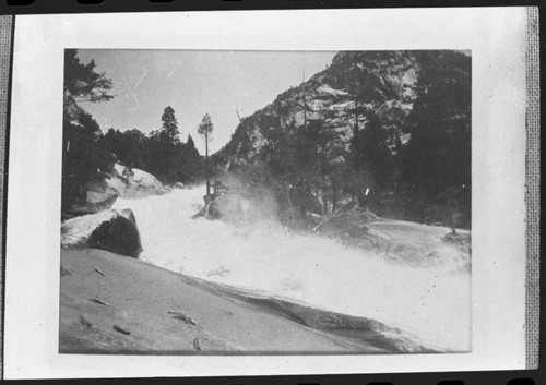 MIst Falls, South Fork Kings River, just above falls - Note tufted-top Incence Cedar. This photo was taken in the 1930's and the tree is still there (1986)