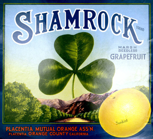 Shamrock Sunkist Brand Marsh Seedless Grapefruit, Placentia Mutual Orange Association fruit crate label, ca. 1930