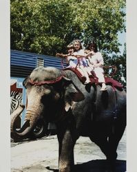 Joan Perry Ryan rides an elephant at the Sonoma County Fair, Santa Rosa, California, about 1986