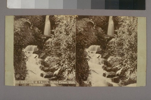 Cascade & Falls, Ogden Canon, Utah.--Photographer: Chas. Weitfle--Photographer's number: 60--Place of Publication: Central City, Colo.--Photographer's series: Stereoscopic Views on Line of Union Pacific R. R