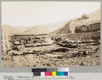 Tehachapi Flood Area. September 1932. View along Caliente Creek where an estimated peak discharge of 50,000 second ft. of mud washed out bridges, cut embankments, buried train engines and caused the death of 32 persons. Lowdermilk