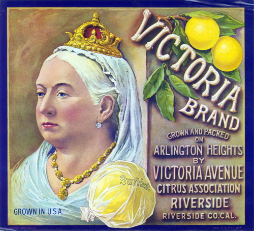 Crate label, "Victoria Brand." Grown and packed on Arlington Heights by Victoria Avenue Citrus Association. Riverside, Riverside Co., Calif