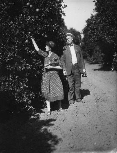 Couple in an orange grove