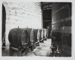 Hand carved oak barrels at Sebastiani Vineyards, Sonoma, California, 1980