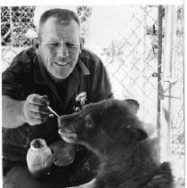 Bear Feeding at Folsom Zoo