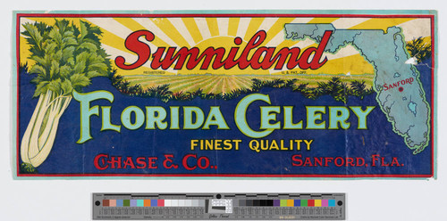 Sunniland Florida celery