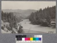 View along south fork Eel River near Philipsville, Humboldt County. At the right hand side of the picture is shown the edge of a clearing with fire killed redwood sprouts. August 1921
