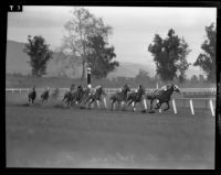 "Osculate," "The Marker," "Anahuac" and "Upper Berth" rounding the far turn at Santa Anita Park, Arcadia, 1938