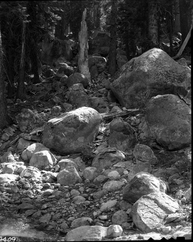 Glacial Moraines, Glacial boulders in lateral moraine from Lodgepole road