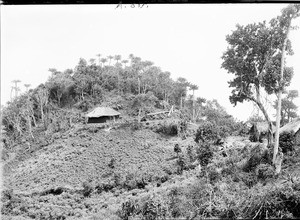 Huts on a hill, Tanzania, ca.1893-1920